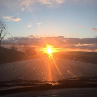 11220847_10154176907833384_1346773972378963693_n