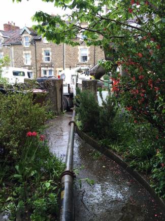 13165872_10154208307838384_8531019492884743935_n